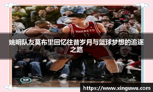JN体育官网