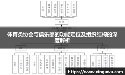 体育类协会与俱乐部的功能定位及组织结构的深度解析